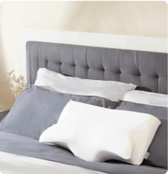 Ergo Z Pillow users ~Dan R.